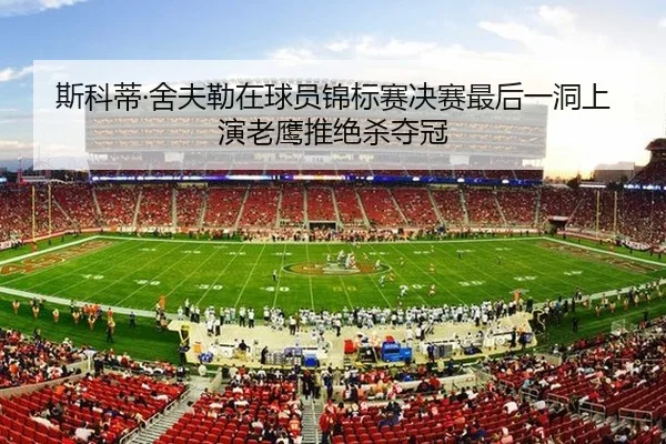 斯科蒂·舍夫勒在球员锦标赛决赛最后一洞上演老鹰推绝杀夺冠